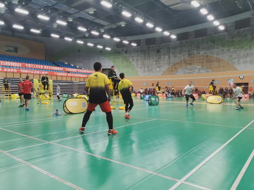 2019川崎慈善杯暨九天網(wǎng)羽羽毛球團(tuán)體邀請(qǐng)賽 網(wǎng)絡(luò)競(jìng)技與公益交融的盛會(huì)圓滿成功